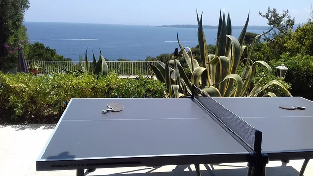 Table de ping-pong