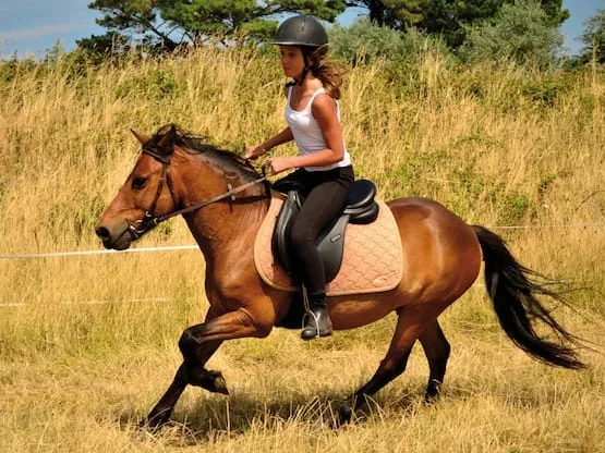 Equitation
