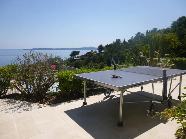 Table de ping-pong