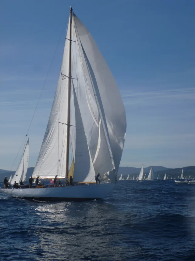 Les Voiles de St Tropez