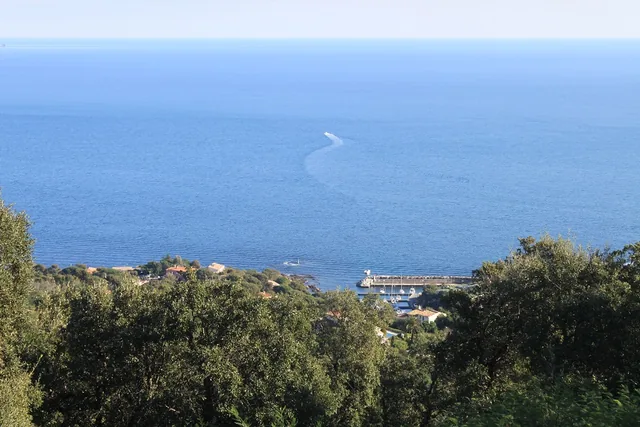 Massif des Maures
