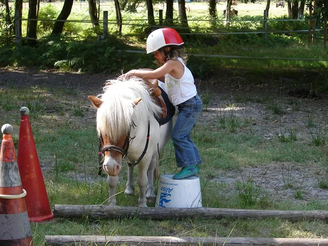 Equitation