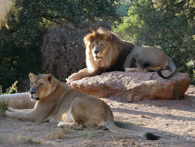 Zoo