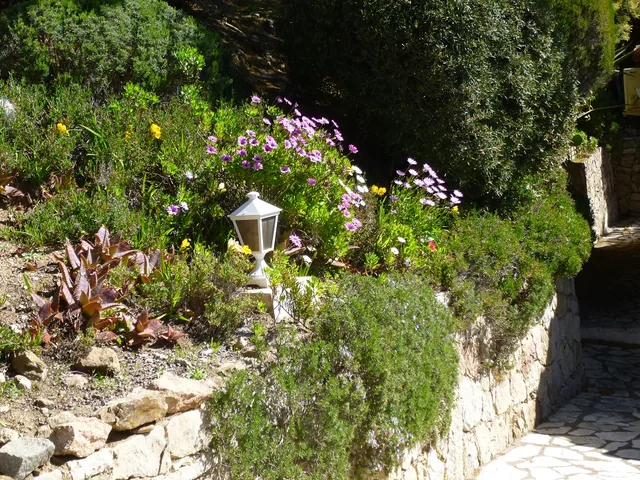Notre jardin