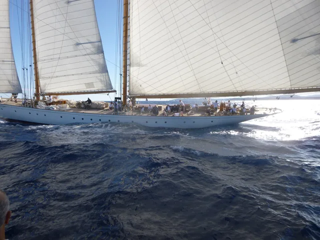 Les Voiles de St Tropez