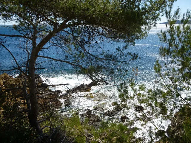 Vue des Issambres