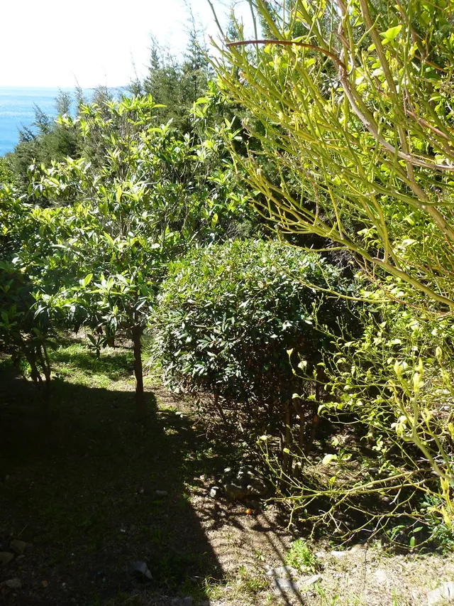 Notre jardin