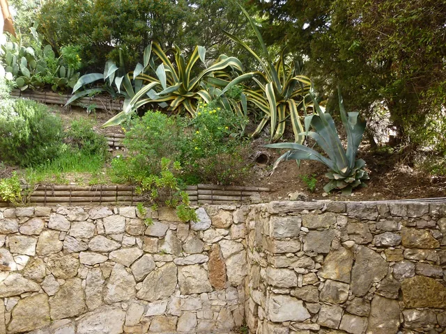 Notre jardin